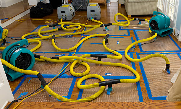 Professional Structural Drying And Dehumidification technician working in Chelan, WA
